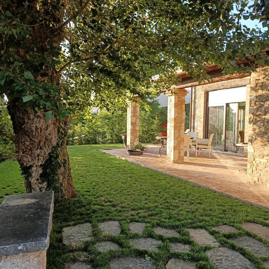 Casale1918 Bed and Breakfast Pietrasanta Eksteriør billede